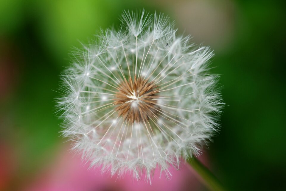 Green white natural