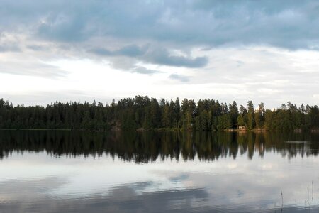 Lake forest water photo