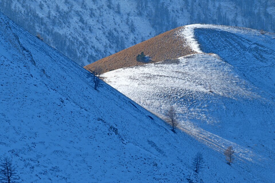 Winter snow contrast