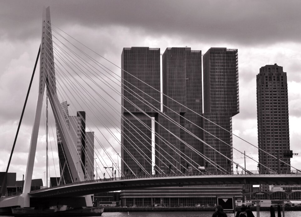 Erasmus bridge rotterdam bridge
