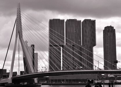 Erasmus bridge rotterdam bridge