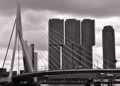 Erasmus bridge rotterdam bridge photo