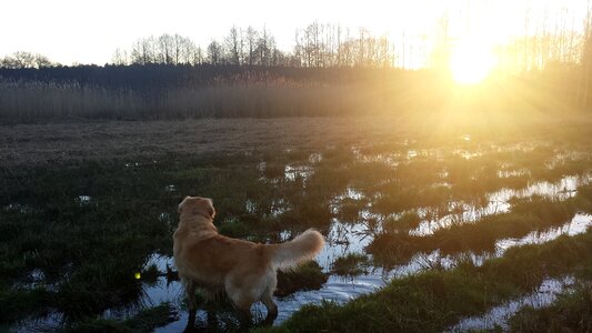 Sunset landscape abendstimmung