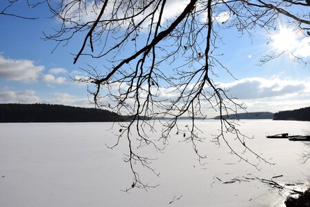 The sun winter snow photo