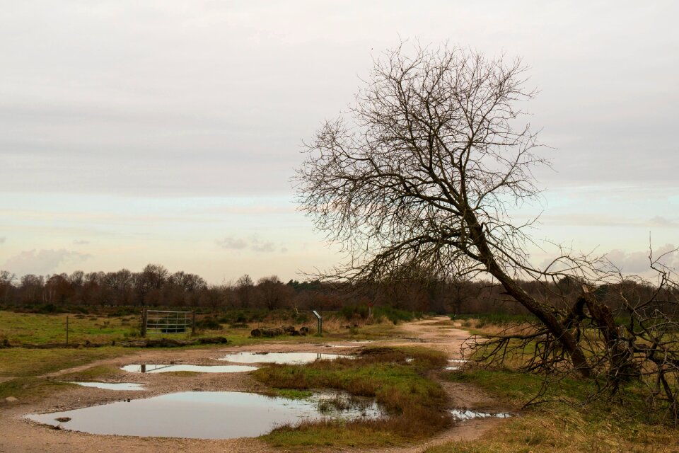 Nature reserve hiking landscape