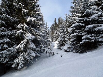 Cold wintry backcountry skiiing