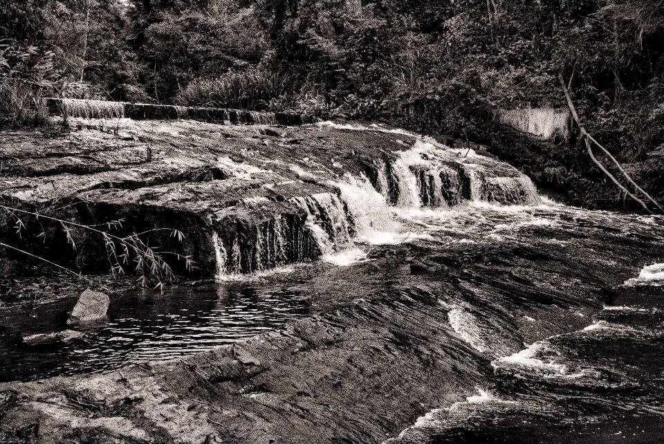 Agua nature landscape