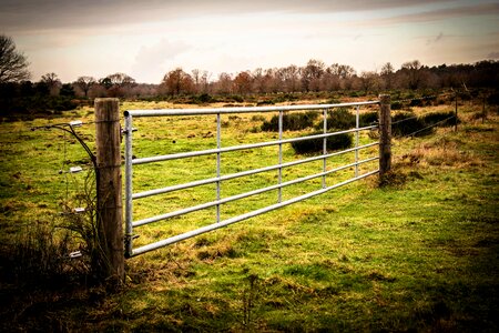 Pasture meadow metal