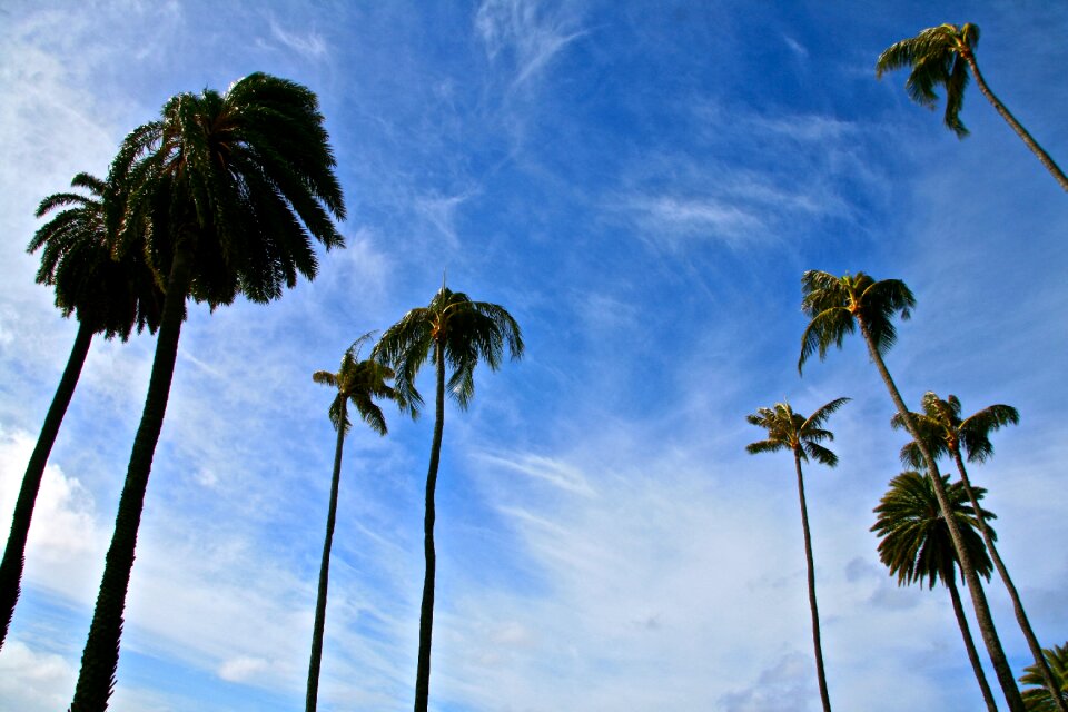 Summer nature travel