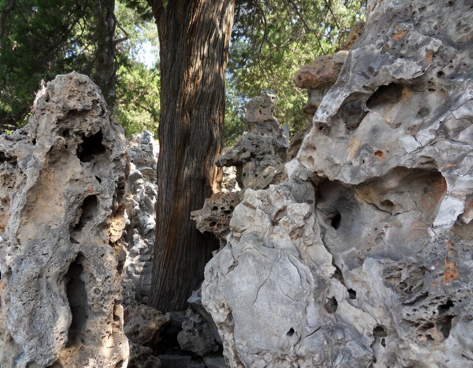 Stone rock nature