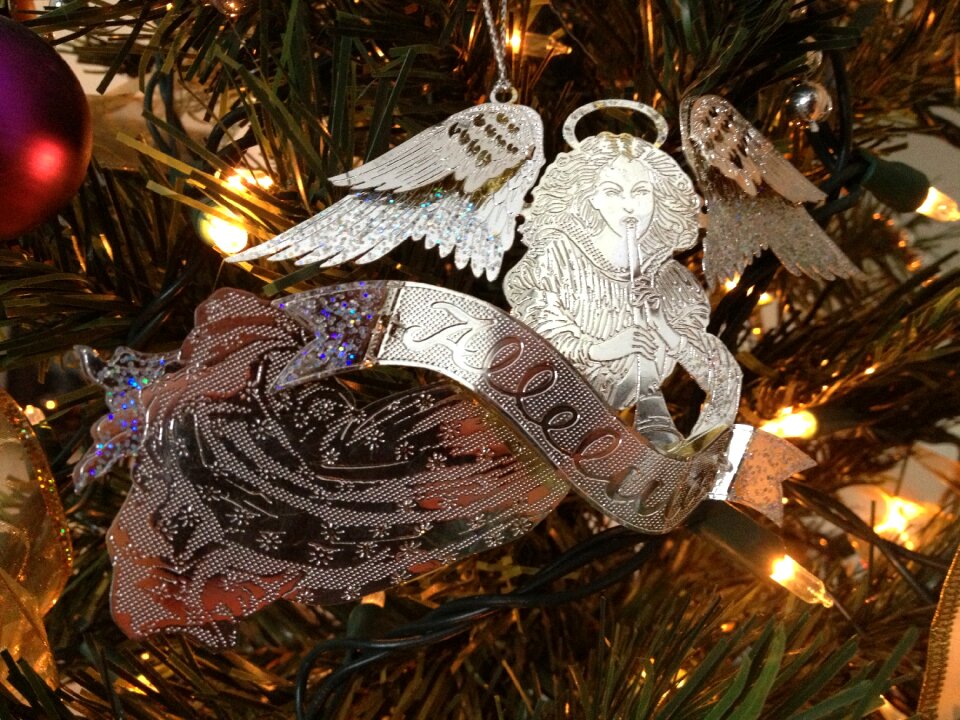 Seasonal december wings