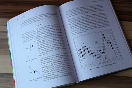Professional reading tradingbuch candlestick
