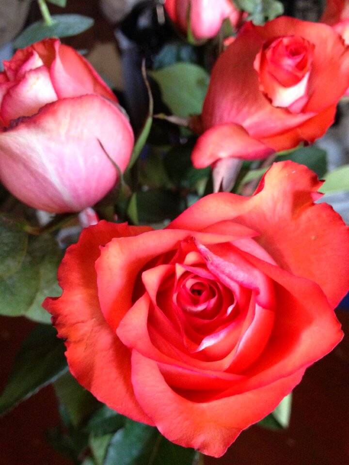 Romantic bouquet flower
