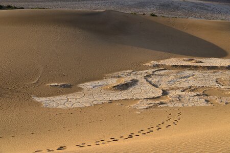 Dune footprint landscape photo