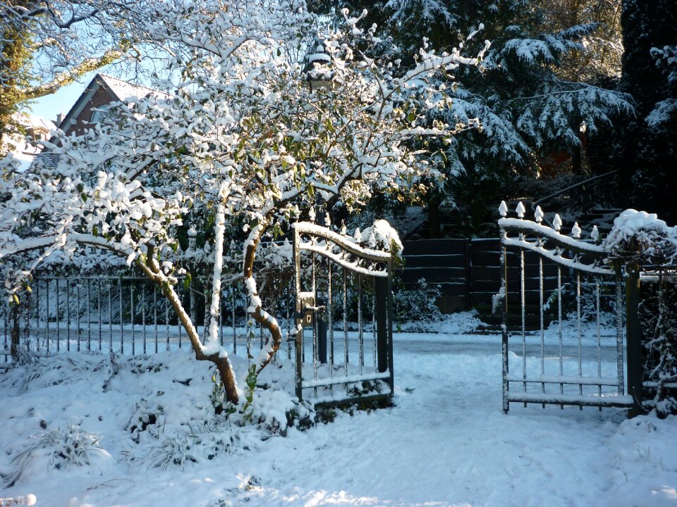 Snow magic snowy goal