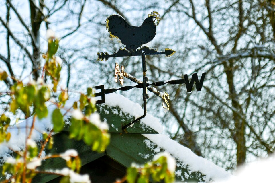 Rooster cardinal directions