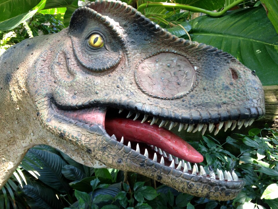 Prehistoric predator carnivore