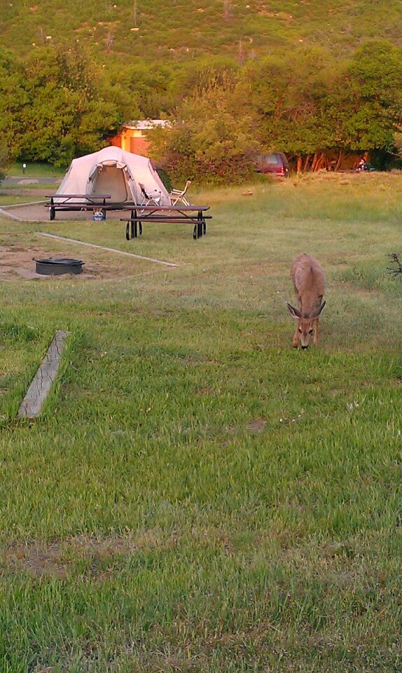 Nature tent camp