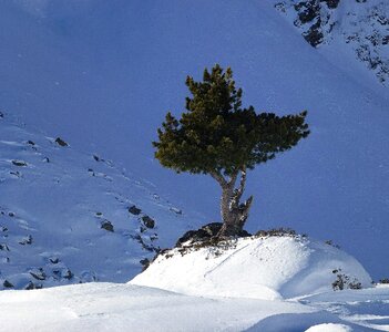 Wintry snow winter magic