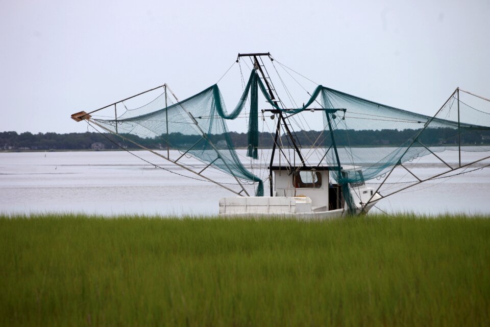 Commercial shrimp fishing