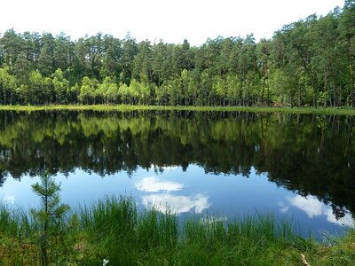 Mirroring light nature conservation