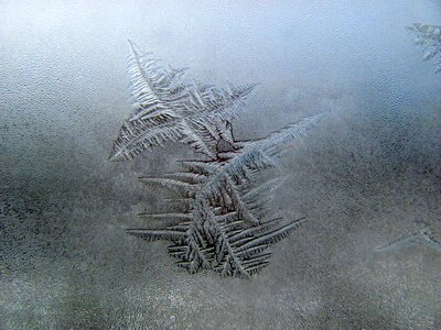 Ice season snowflake photo