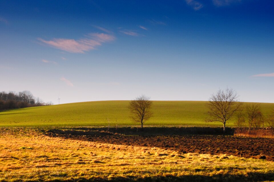 Field meadow landscape