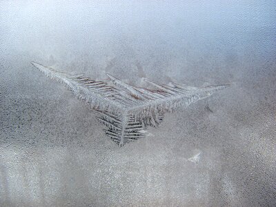 Ice season snowflake