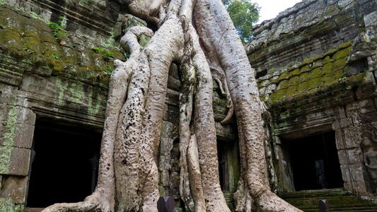 Ta prohm history asia