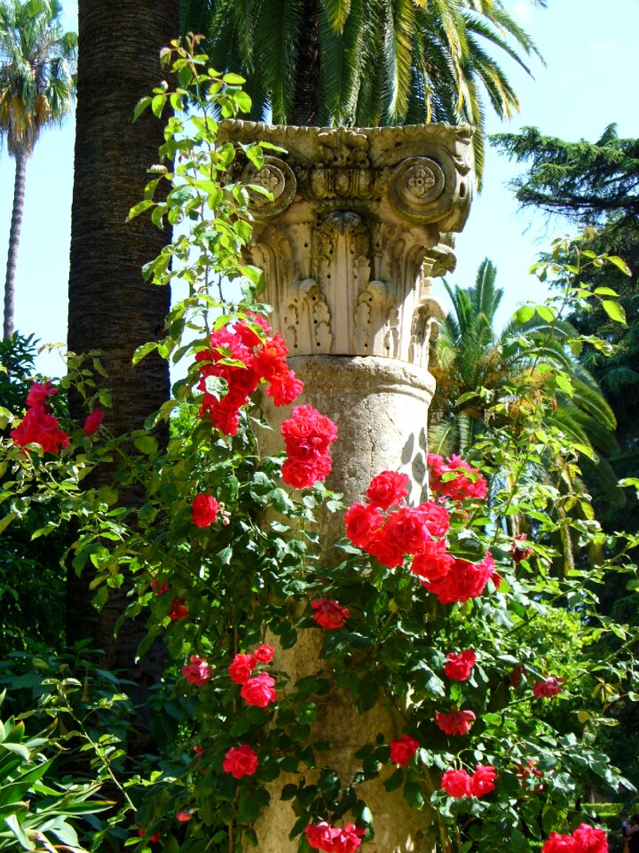 Park garden architecture