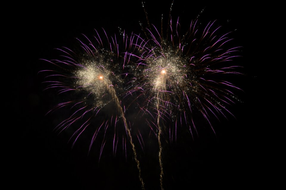 Night celebrate purple