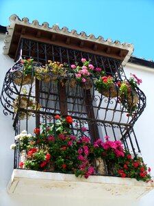 Facade old window building photo