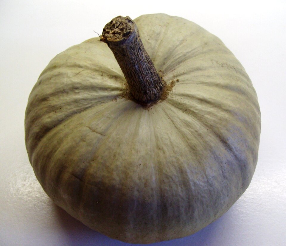 Pumpkin autumn produce