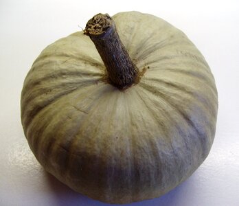Pumpkin autumn produce