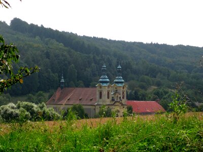 Meadow forest bohemia