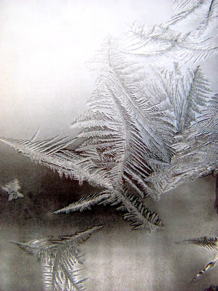 Ice season snowflake