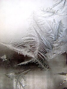 Ice season snowflake photo