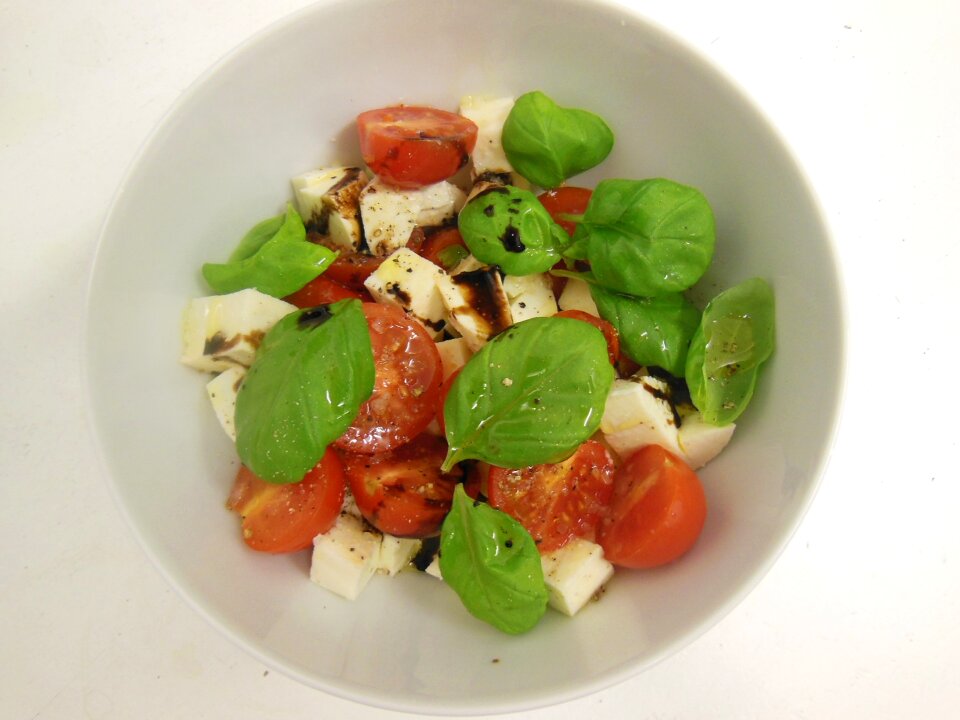 Cheese meal tomato and mozzarella salad