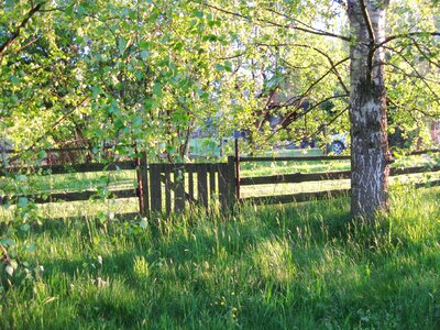 Landscape bohemia summer photo