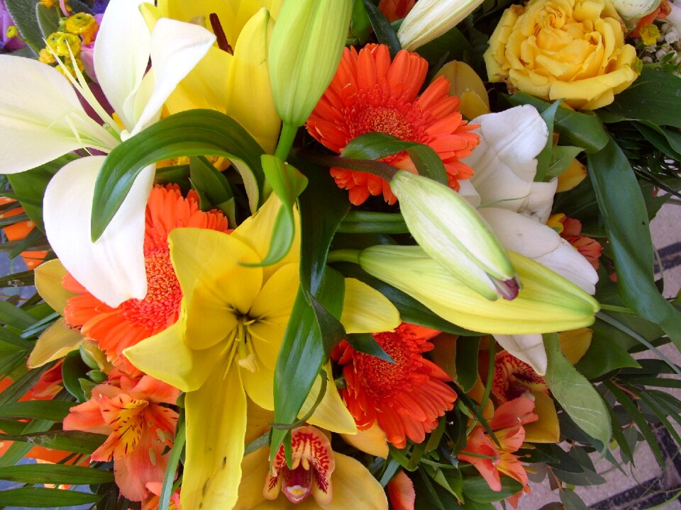 Flower bunch of flowers spring