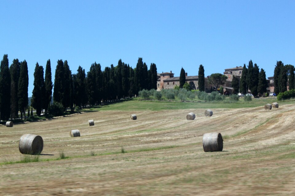 Landscape agriculture