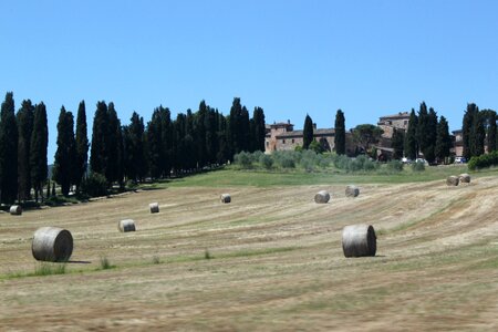 Landscape agriculture