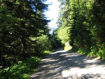 Mountain landscape nature alpine