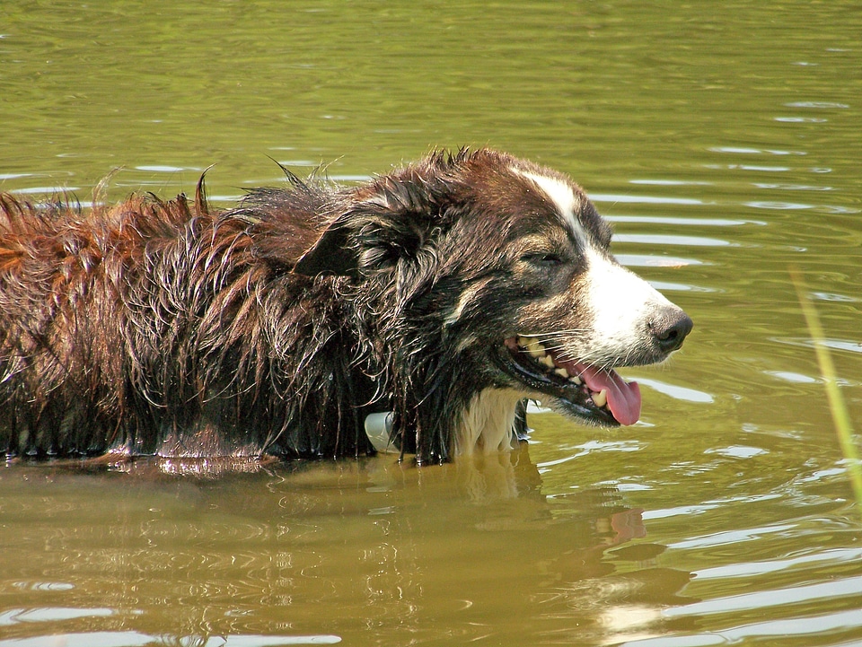 Summer bathing water