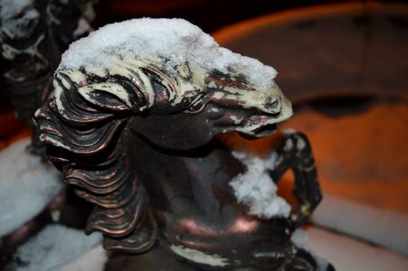 Winter snow snowy