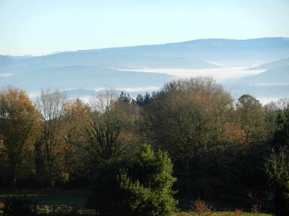 Nature landscape trees