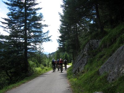 Bike transalp sport photo