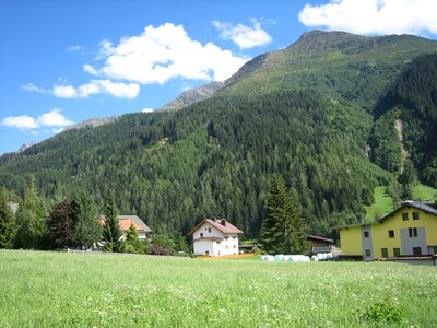 Nature houses meadow