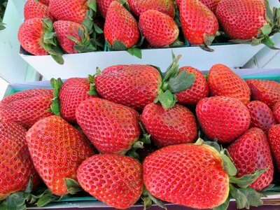 Strawberry food berry photo
