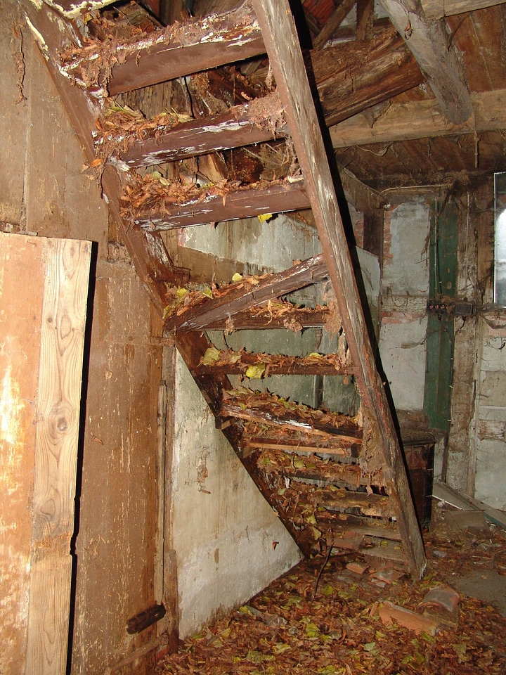 Old building stairs staircase
